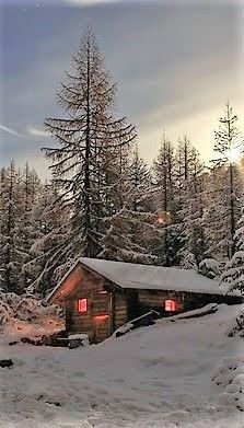 8e3a7d50fd0b3edcb94079692c07f64b[1].jpg
