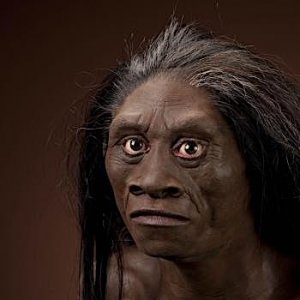 floresiensis_JG_Recon_Head_CC_3qtr_lt_l1.jpg