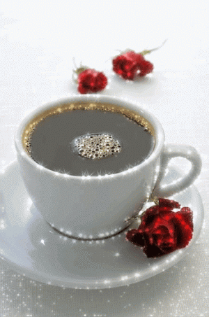 e7d248ed823db6040faf96d52589a77a[1].gif