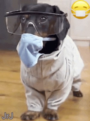 tenor (17).gif