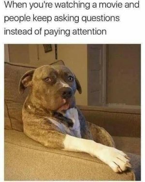 147627741_758069941491262_2016245872302497496_n[1].jpg