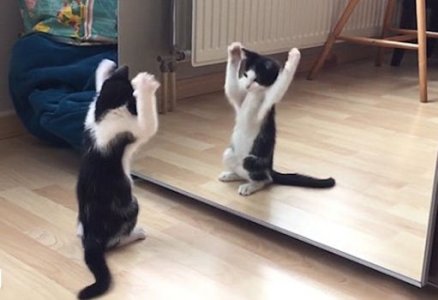 Mirror @.jpg