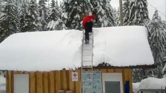 Snow1.gif