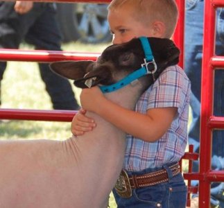 b20_cleburnecountyfair.jpg
