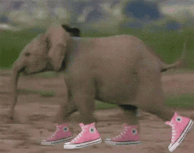 elephant.gif