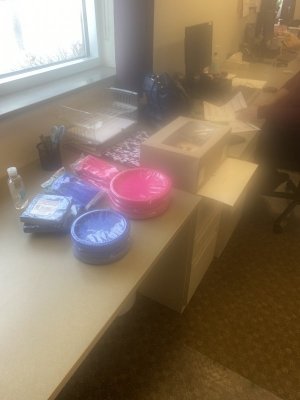 IMG_0034.jpeg