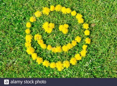 smiling-face-made-of-dandelion-flowers-on-grass-meadow-2C3HW9G.jpg