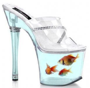 Fish shoes.jpg