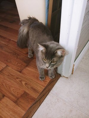 thumbnail_20210211_143209.jpg