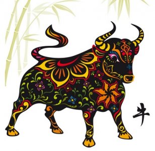 chinese year ox.jpeg