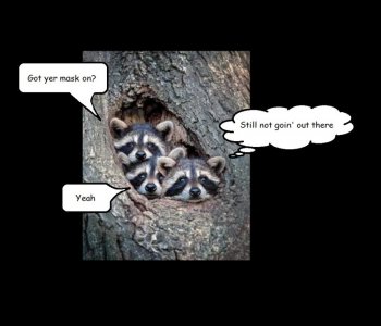 masked and not ready.jpg