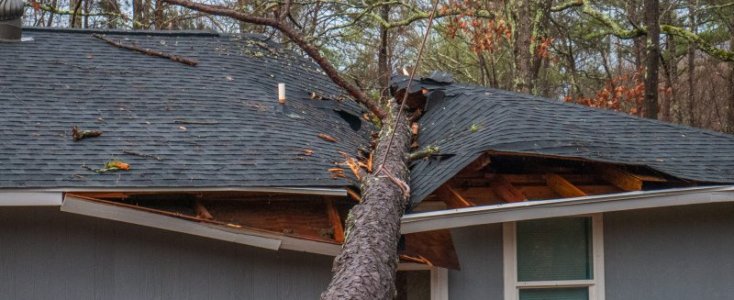 roof damage.jpg