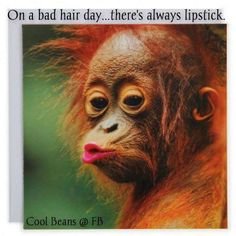 241bd2b01d5558b8eef49206fb0d8bf6[1].jpg