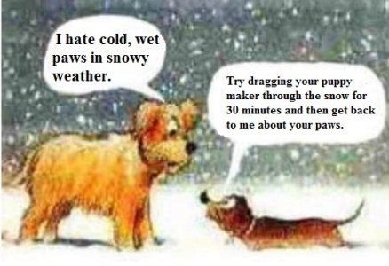 doggie.jpg