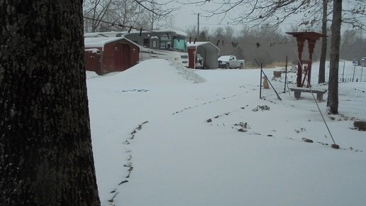 DSC03301.JPG
