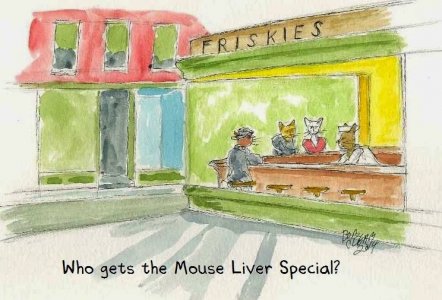 Mouse Liver Special.jpg