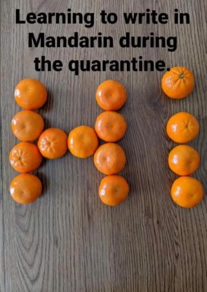Mandarin.jpg