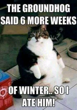 FB_IMG_16126426870365359.jpg
