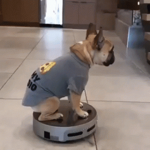 ce8db009e389569973709b05e3a5a0b2.gif ce8db009e389569973709b05e3a5a0b2.gif