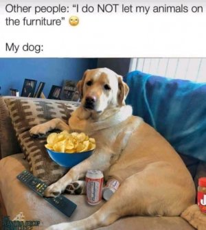 FB_IMG_16127229769820094.jpg