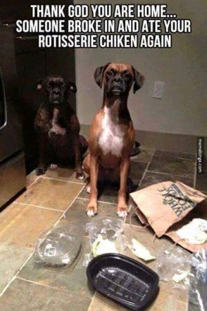 FB_IMG_16127360680379107.jpg