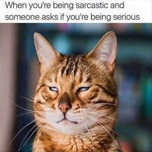 FB_IMG_1613627361798.jpg