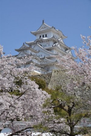 Himeji Castle.jpeg