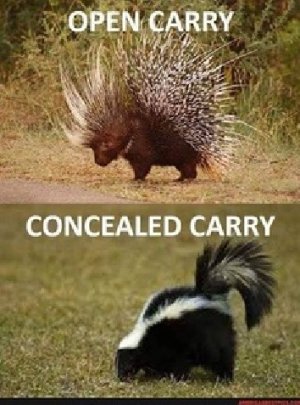 open vs concealed.jpg