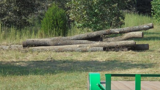 firewood.JPG