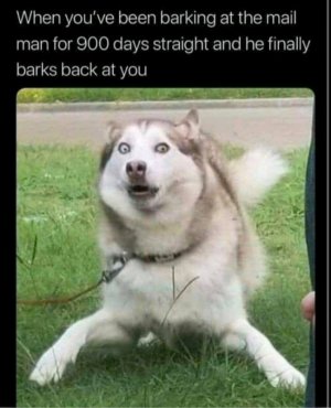 FB_IMG_16127360814367174.jpg