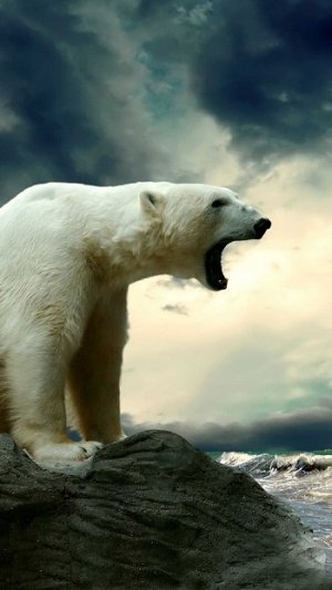 Iqaluit Welcome.jpg