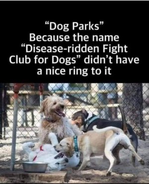 FB_IMG_1613538943855.jpg