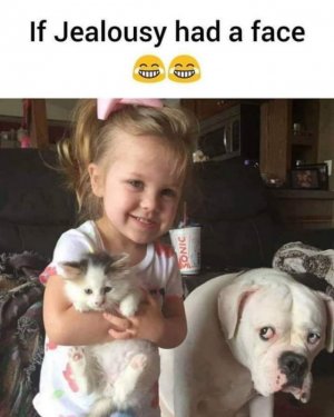 FB_IMG_1613349485449.jpg