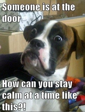 someoneatdoor.jpg