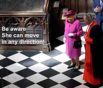 queen can move.jpg