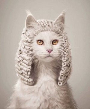 Honorable_Judge_Meaw.jpg