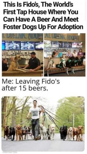 fidos.jpg