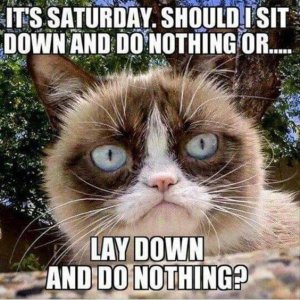 3efe3eb16f8ebd159e5a7103b6bebe0c[1].jpg