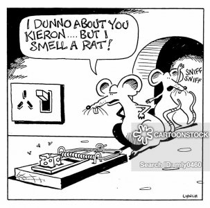Smell a rat.1.jpg