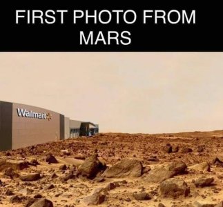 153072783_3713246888770523_5405234223892645630_n[1].jpg