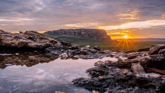 kakadu.jpg