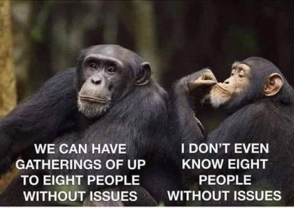 FB_IMG_1613962447692.jpg