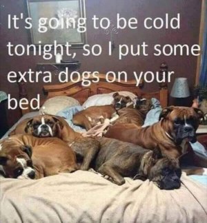 FB_IMG_1613525528731.jpg
