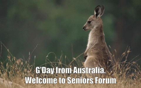 Gdaywelcome.gif Gdaywelcome.gif