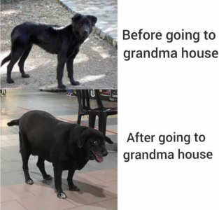 grandmahouse.jpg
