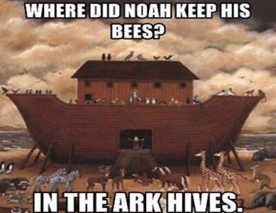 0CA2725B-E8BB-4313-BF66-6DA9BD346EE4.jpeg