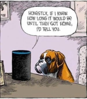 alexadog.jpg