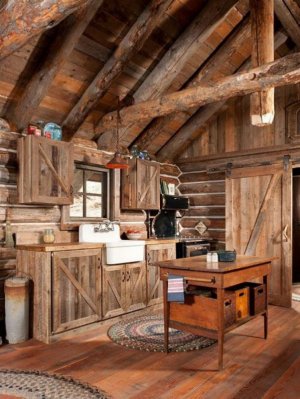 a cabin kitchen.jpg