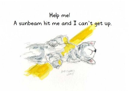Sun Beam.jpg