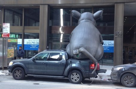 NYC Rat.JPG